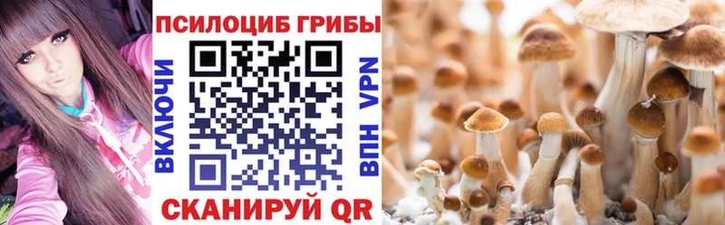 Псилоцибиновые грибы MAGIC MUSHROOMS  Чадан 